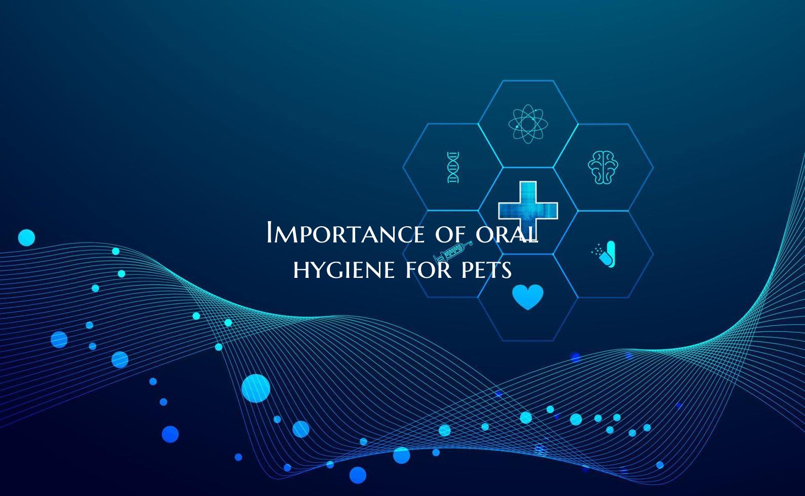 Importance of oral hygiene for pets